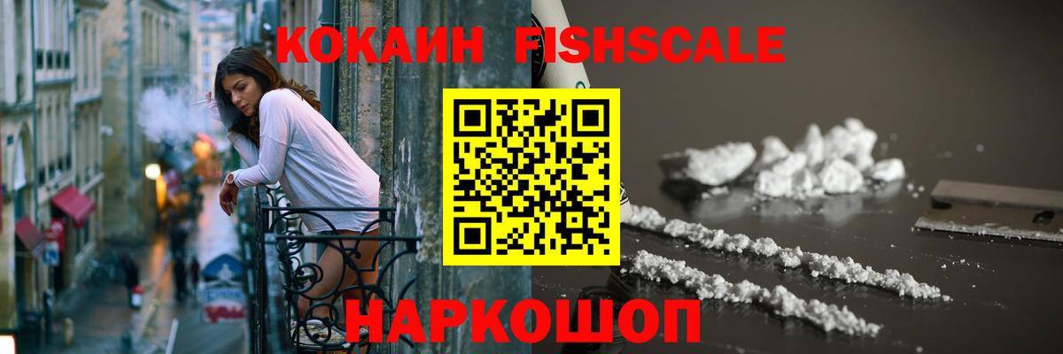Бошки Шишки Кингисепп