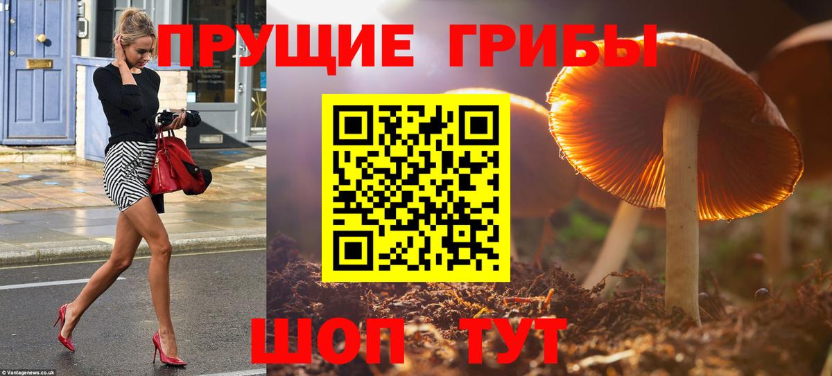 Галлюциногенные грибы Magic Shrooms Кингисепп
