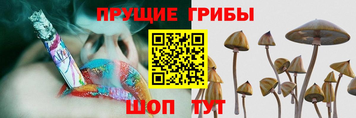 Кингисепп  Галлюциногенные грибы MAGIC MUSHROOMS  Вход с VPN  Псилоцибиновые грибы Psilocybe 